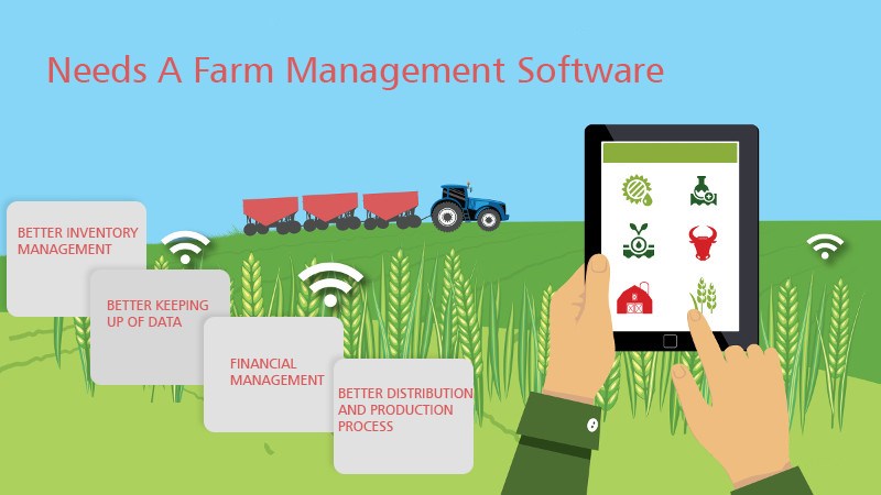 farm accounting services